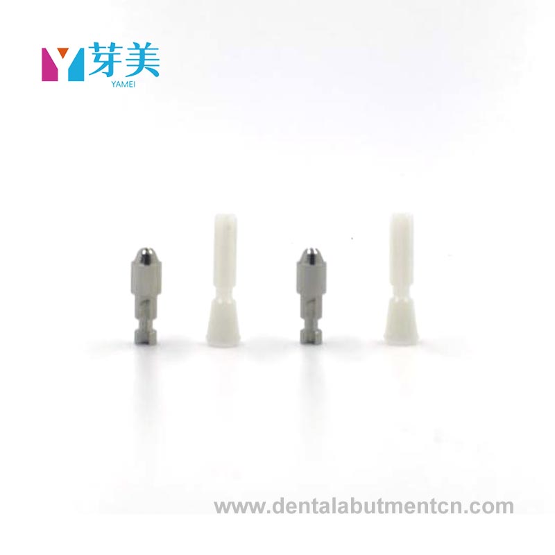 Inplantea abutment